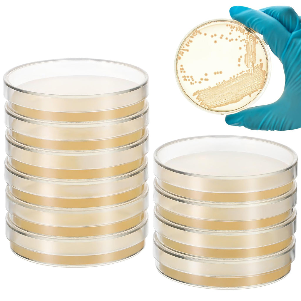 Placas de Petri con agar para laboratorio - 10 piezas - SHINEOFI