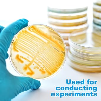 Placas de Petri con agar para laboratorio - 10 piezas